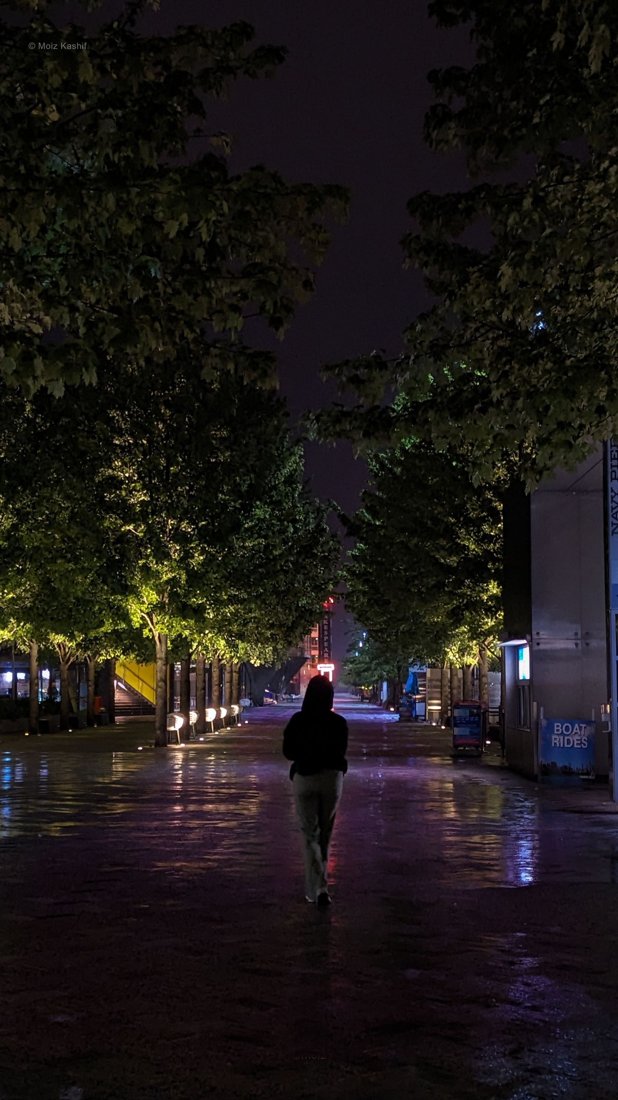 A solitary figure walking beneath trees along a wet Navy Pier promenade.