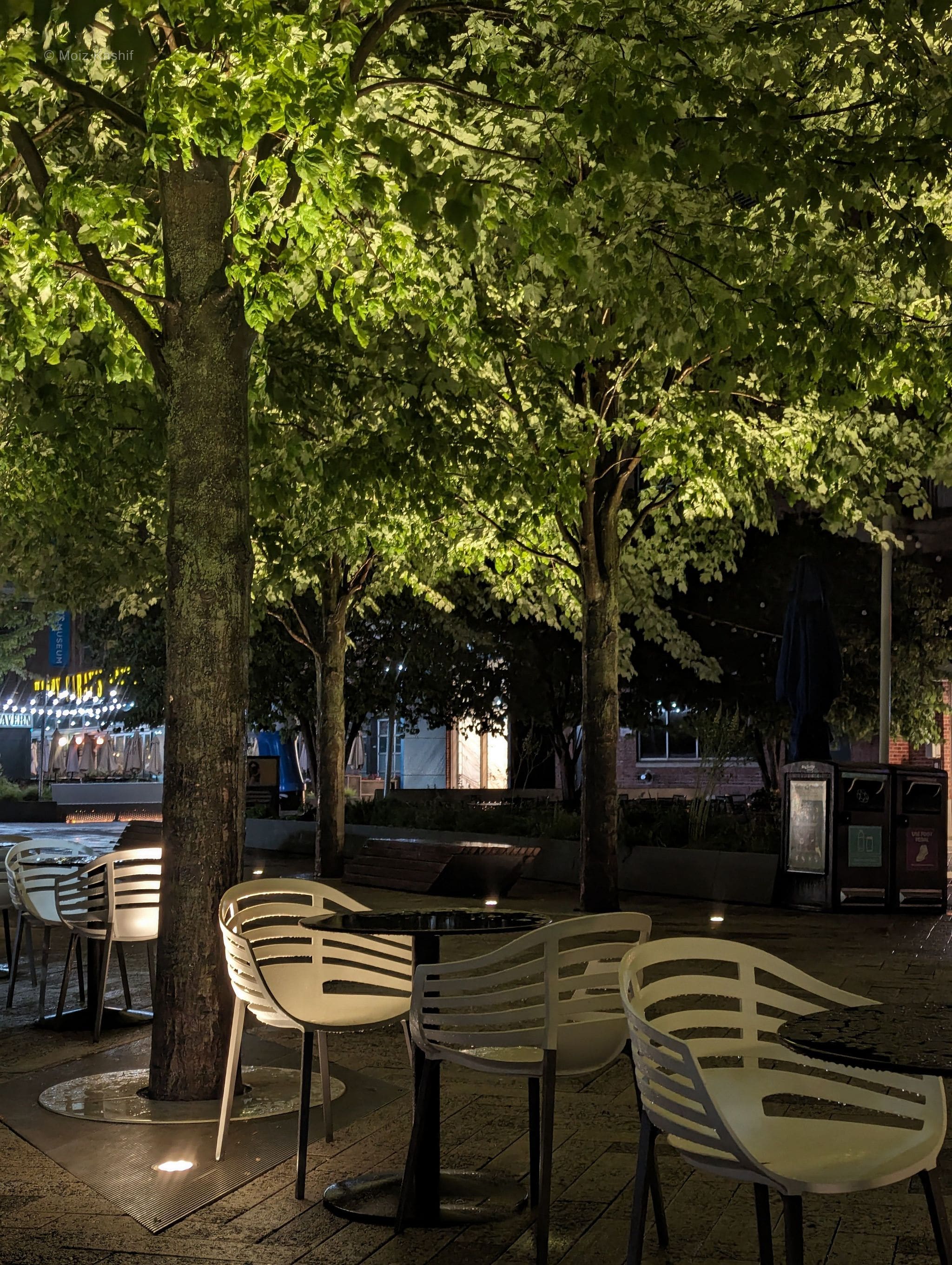 Empty white cafe chairs beneath illuminated trees after rain.