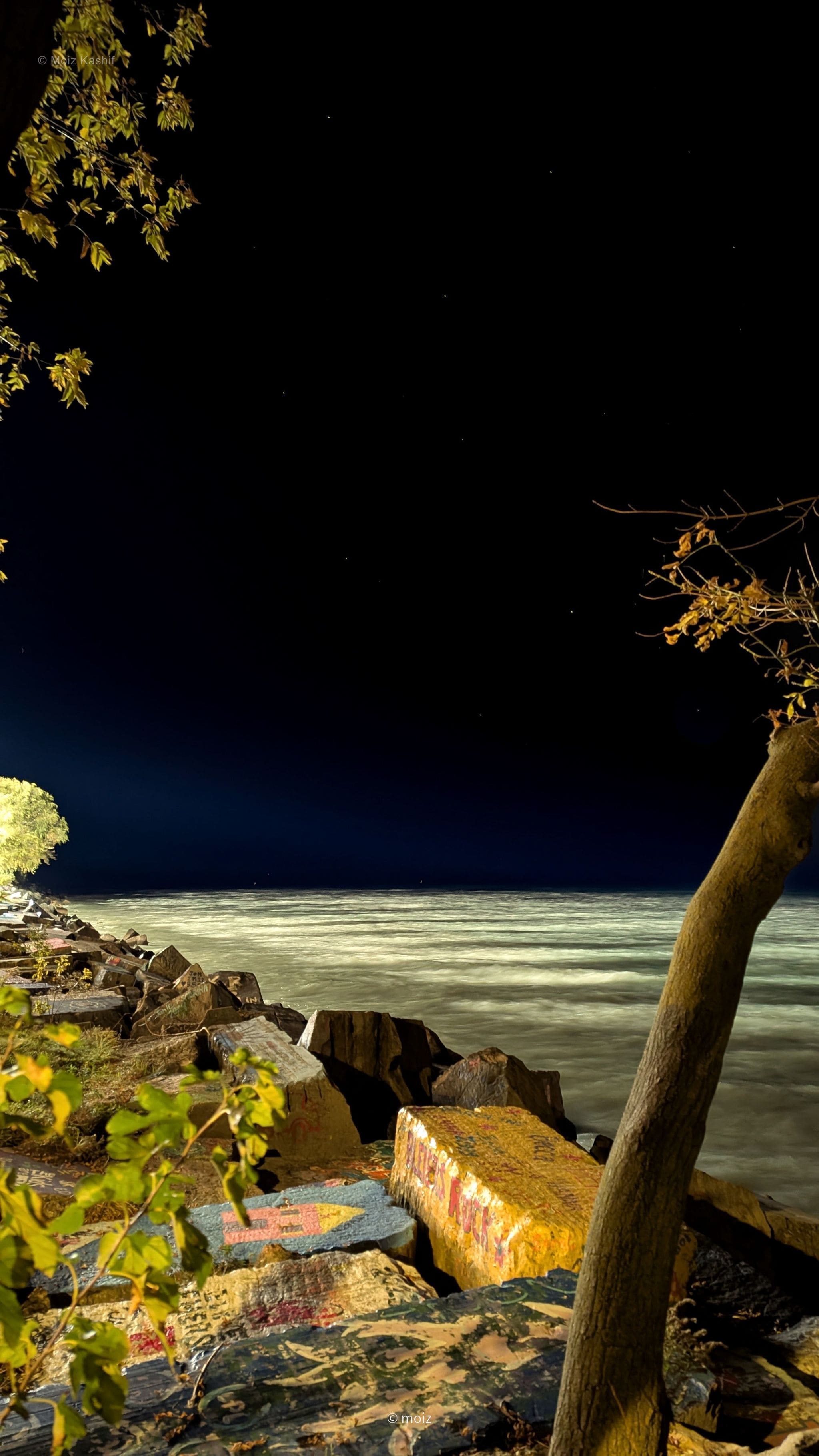 Moonlit waves washing past rocks and a tree along the lake.