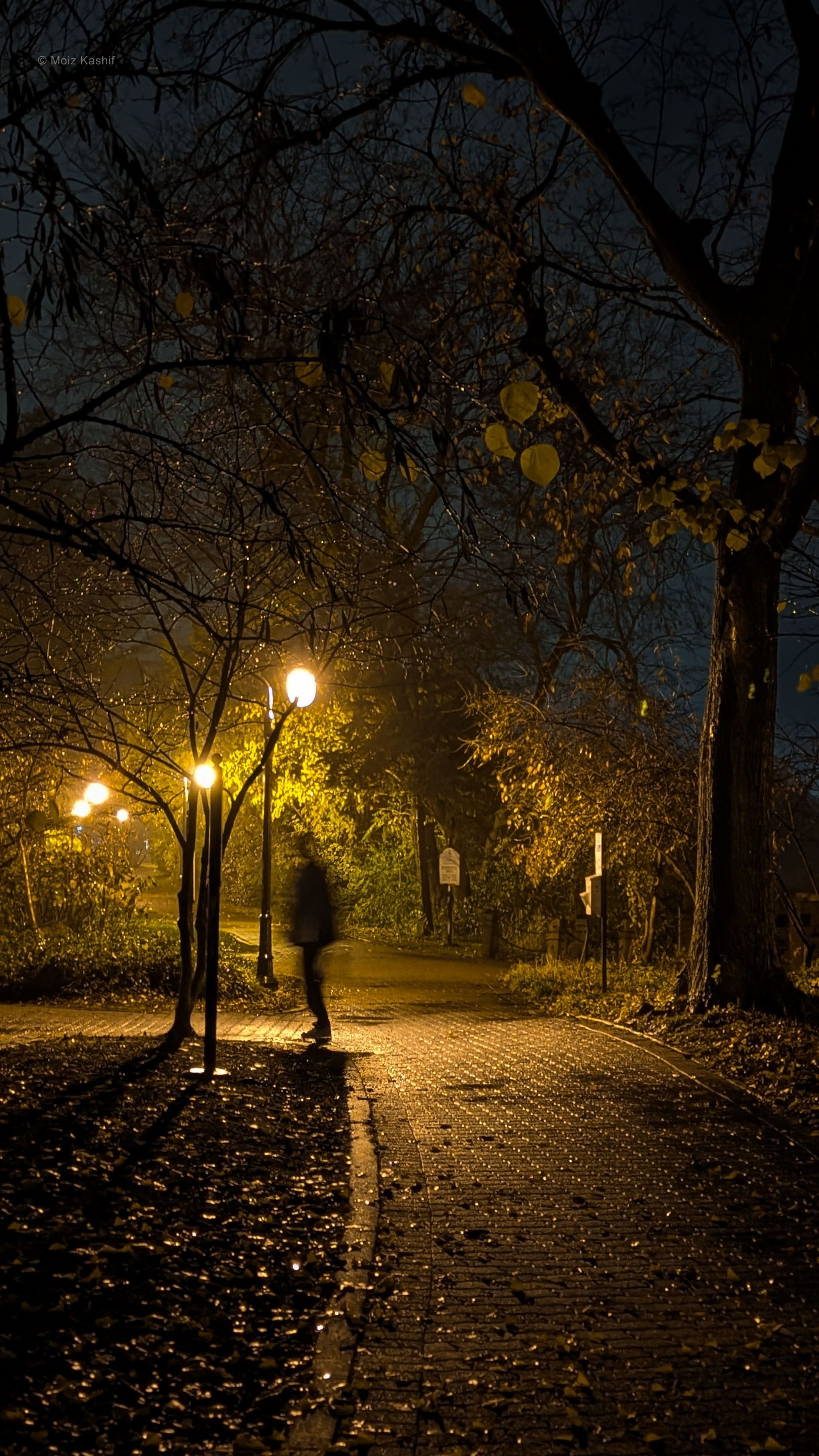 A lone figure walking through an amber-lit park on an autumn night.