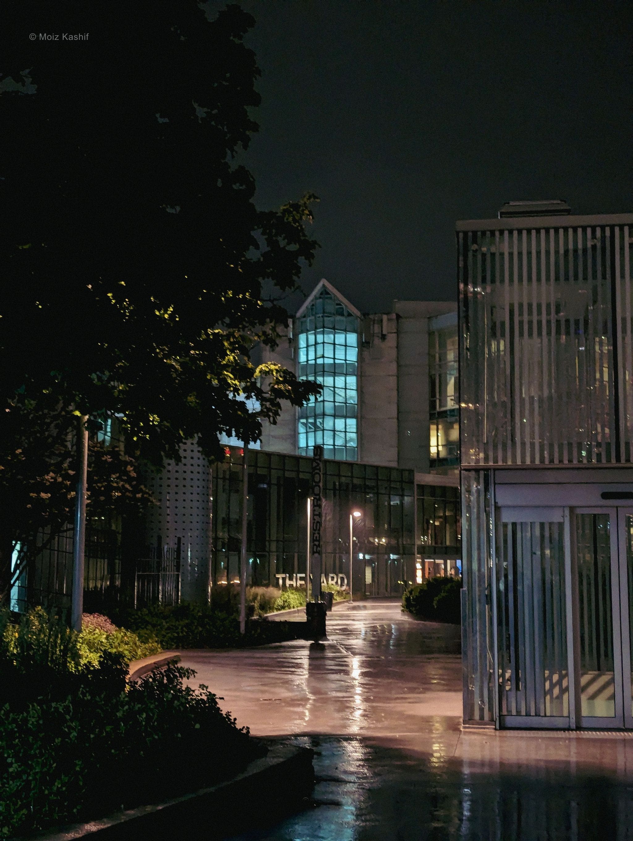 An illuminated modern entrance surrounded by rain-soaked foliage.