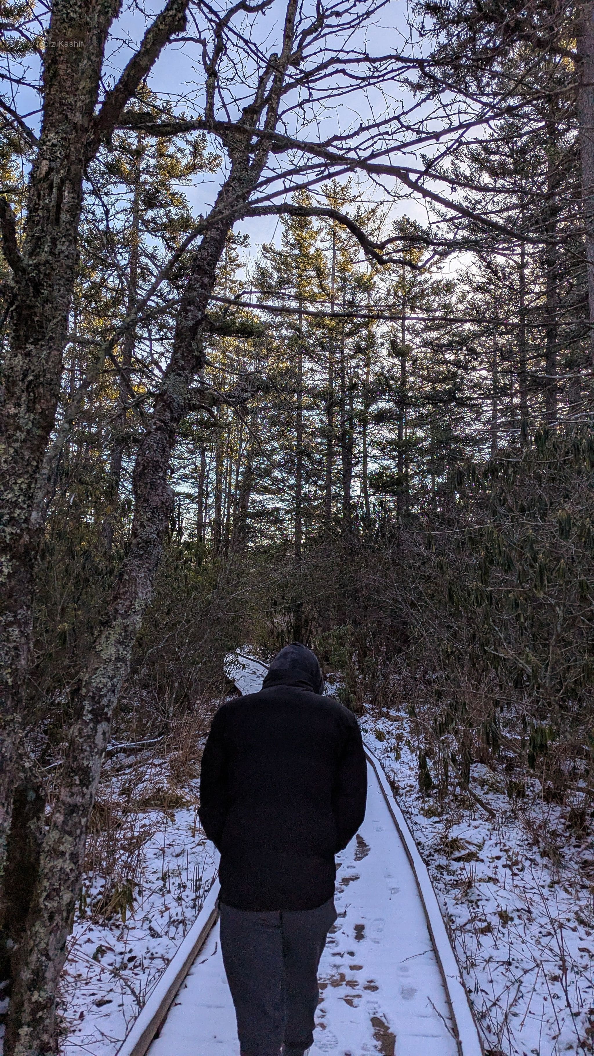 A person walking along a snowy wooden trail into dense woods.