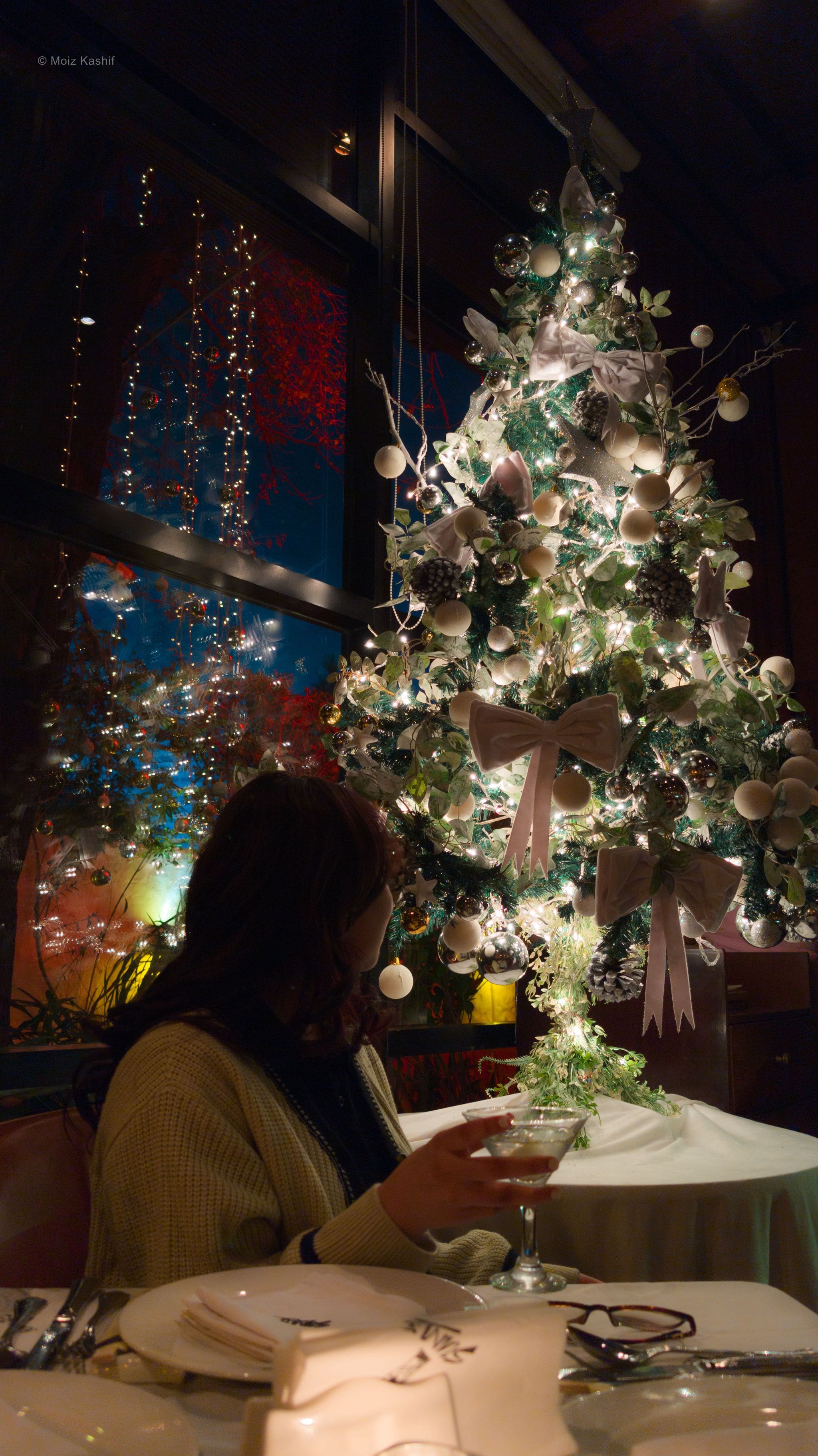 A diner seated beside a softly illuminated Christmas tree.