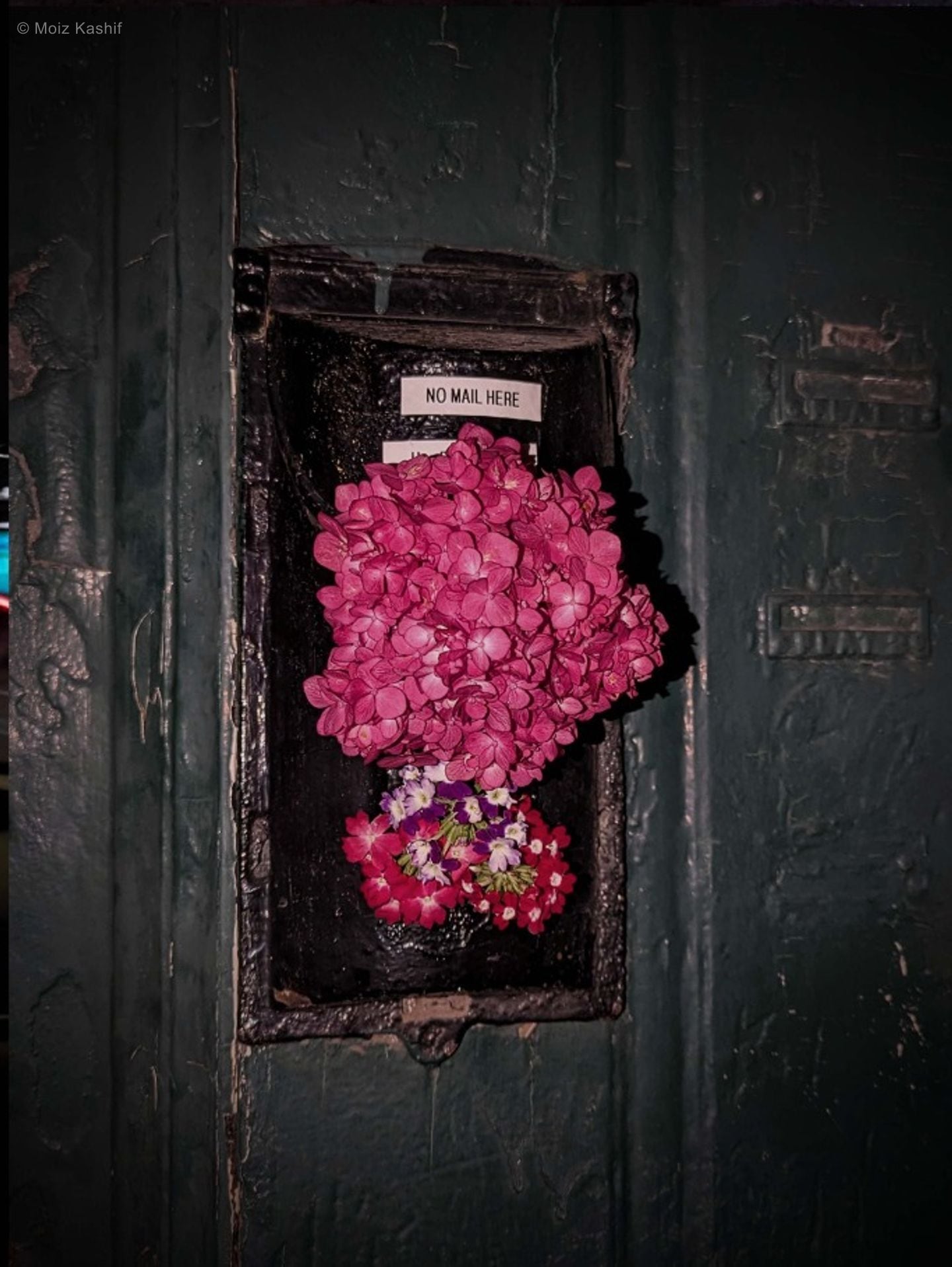 Flowers placed at a green door in the sixth Mental Health frame.