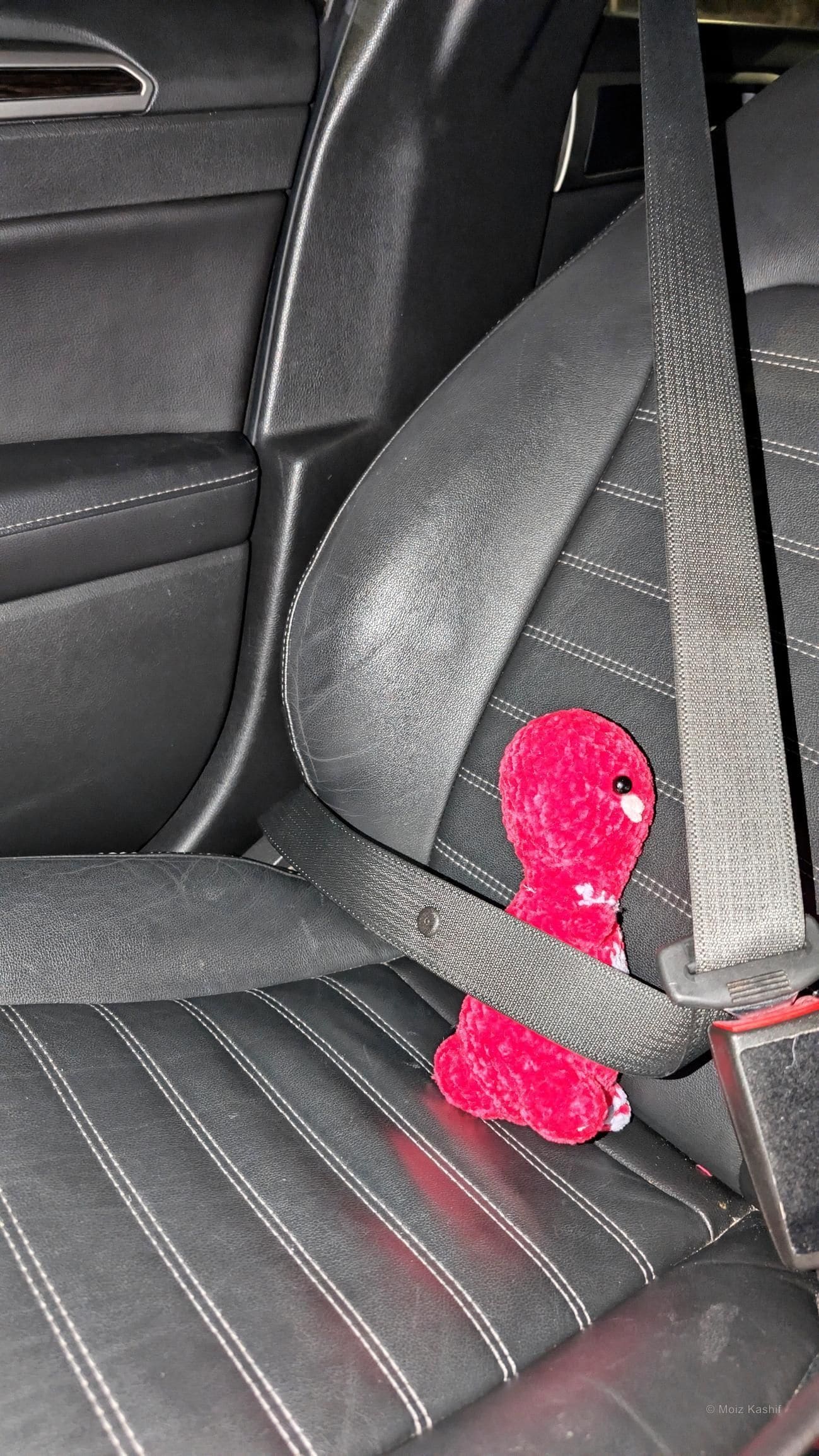 A red flower secured in a car seat at the beginning of the daily door project.
